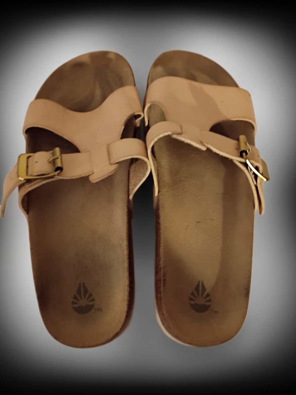 Women’s Neutral Buckle Slide Sandals in Tan